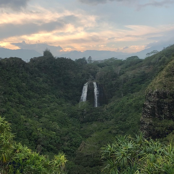 Meet your Posher, Dee - Picture 8 of 8